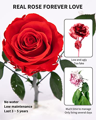 Flowers for Delivery Prime, Preserved Roses Flower Gifts for Women, Real Roses Single Rose Presents for Her, Mom Birthday Gifts from Daughter, Valentines Flowers Red Roses - color: 00-red