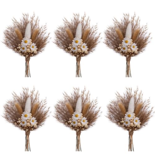 xin's convey Mini Dried Flower Bouquet Set of 6, Small Pampas Grass, Bohemian Wedding Table Centrepieces, Bridesmaid Flower Girl Proposal Boxes, Birthday Cake, Party Plate Decorations (Brown) - color: Brown
