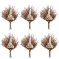 xin's convey Mini Dried Flower Bouquet Set of 6, Small Pampas Grass, Bohemian Wedding Table Centrepieces, Bridesmaid Flower Girl Proposal Boxes, Birthday Cake, Party Plate Decorations (Brown) - color: Brown