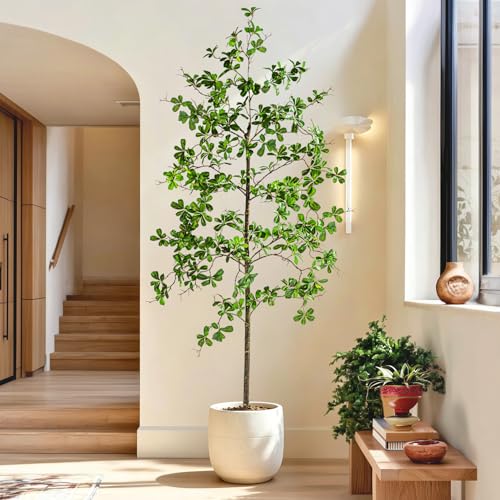 Erimda Faux Black Olive Tree 6ft, Faux Plants Indoor Large Tall Tree Artificial Shady Lady Tree with Natural Wood Trunk & Realistic Leaves, Fake Olive Plant for Home Office Indoor Decor - color: Green, size: 6ft