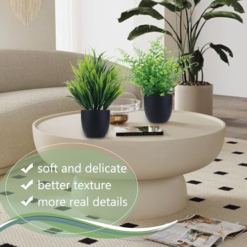 GREENTIME 2 Pack Fake Plants in Black Pot Small Artificial Plant Wheat Grass for Home Decor Faux Fern Greenery Indoor Bathroom Shelf Home Office Desk Bedroom Cabinet Kitchen Table Decorations - color: Black-2