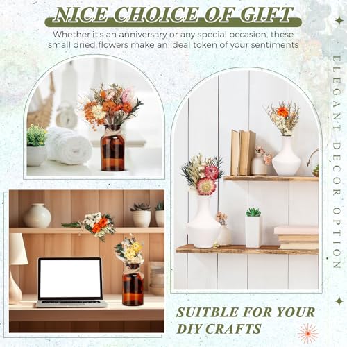 Layhit 12 Pcs Boho Dried Flower Bouquet Mini Wedding Handmade Dry Flowers Decor for Vase Crafts DIY Photo Boutonniere for Men Floral Plant for Bridesmaid Gift Birthday Decor(African Daisy) - style: Gerbera Daisy