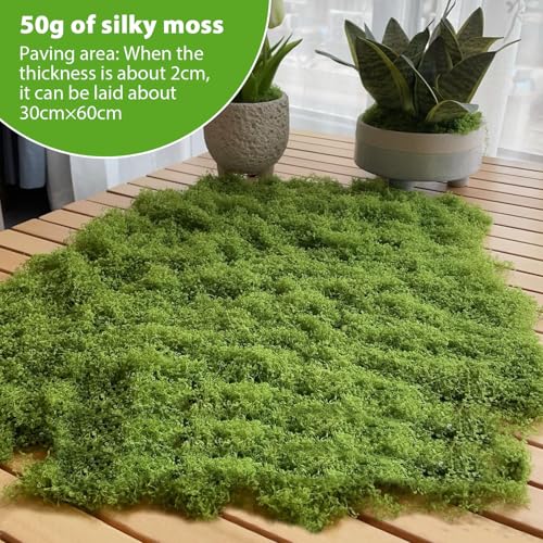 Fake Moss for Plants Indoor, 7OZ Value Pack - Artificial Grass for Crafts, Floral Arrangements & Potted Plants, Natural Moss Alternative for Terrariums (Dark Green+Light Green)