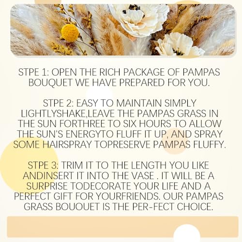 Boho Pampas Grass for Vase Filler Fluffy Natural Dried Flowers Arrangements with Bunny Tails Reeds Gold Billy Balls Artificial Peony for Home Table Farmhouse Rustic Western Wedding Decor