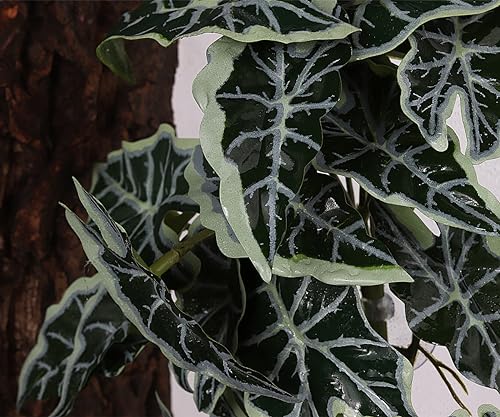 Reptile Plants for Terrarium, Amphibian Habitat Decor Artificial Hanging Plants with Suction Cup - Fake Alocasia Black Velvet - color: Fake Alocasia Black Velvet