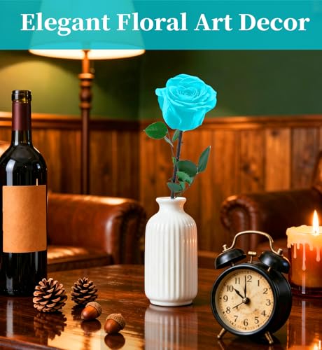Preserved Flowers for Delivery,Light Blue Rose Bouquets That Last 5 Years,Birthday Flowers Gifts for Women Mom Grandma Wife Friends,Mothers Day Gift,Romantic Floral for Anniversary or Valentine’s Day - color: Light Blue, size: Single Rose