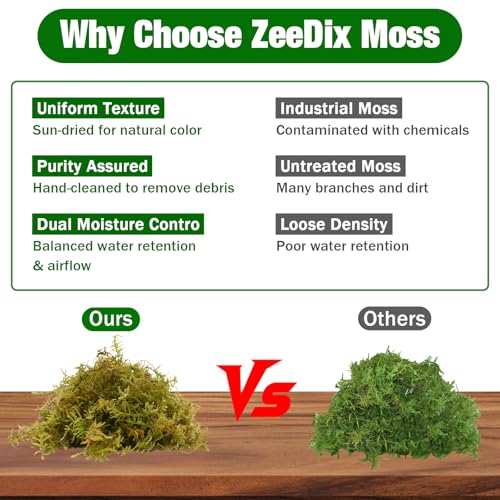 ZeeDix 3.3 lbs Forest Moss for Plants Indoor - Dried Orchid Moss for Repotting, Natural Green Sphagnum for Potted Plants Carnivorous Monstera Succulents Crafts Reptile Habitat (Expands to 60 qt) - color: 3.3LB