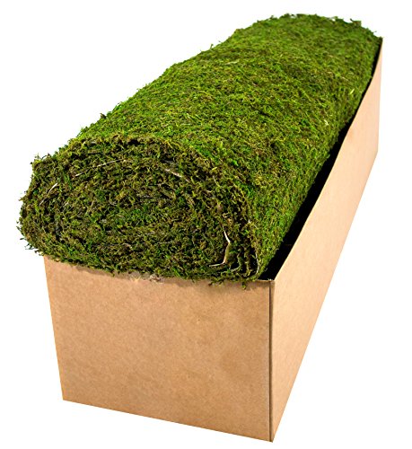 SuperMoss (22395) Instant Green Moss Mat - Preserved Moss Sheet for Table Runners Crafts Garden Decor and Green Wall Displays, 3ft x 24ft - color: Fresh Green, size: 3ft x 25ft