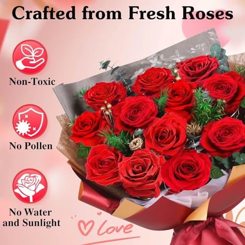 ADDWel 12 Preserved Real Roses Bouquet for Her, Forever Red Flowers with LED Lights, Anniversary Birthday Gifts for Wife Girlfriend Mom, Elegant Home Decor - color: Preserved Red Roses Bouquet - 12 Roses