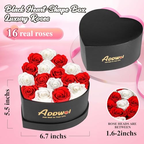 ADDWel Preserved Real Red and White Roses Bouquet for Her Anniversary, Mothers Day Flower Gifts for Women, 16-Pieces Eternal Roses that Lasts for 3 Years in Heart-Shape Box for Wife Girlfriend Mom - color: Red & White - 16 Roses