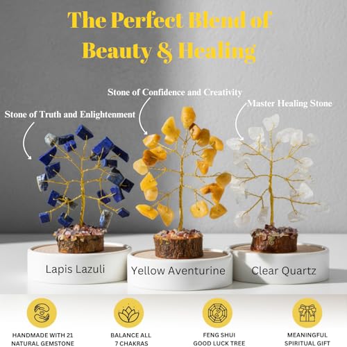 ANAYA AGATE Crystal Tree Set of 12 Unique Birthday Gifts for Women,Sister,Mom,Home Office Decor,Shelf Decoration for Positive Energy,Bring Good Luck,Money,Reiki Healing, Chakra Tree of Life Gift Sets - color: Gemstone Tree Set