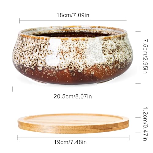 ARTKETTY Succulent Pots - 8 Inch Plant Pot, Large Bonsai Pots with Drainage Tray, Ceramic Planters for Indoor Outdoor Plants, Round Shallow Cactus Flower Plant Container Bowl Decorative Home Garden - color: White