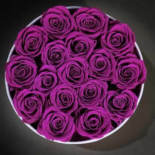 Prifroti 17 Flowers in a Luxury Suede Box, Birthday Gifts for Women, Preserved Flowers, Mothers Day Roses Gift for Mom, Bossy Pink - color: Bossy Pink, size: 17 Roses