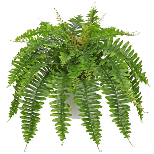 Hollyone Artificial Fern Plants in White Pot 25.5" Medium Artificial Boston Fern 31 Leaves for Outdoors & Indoor Faux Potted Plants Fake Ferns Bush Plant Patio Garden Farmhouse Porch Home Decor Green - color: White Pot - Green Medium