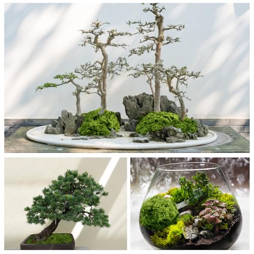 Draupnir Fake Green Moss for Plants Indoor, 5.3OZ Artificial Moss for Potted Plants Decor, DIY Decorative Moss for Crafts Fairy Garden Floral Wedding Model Making Glass Containers Home (150g) - color: Dark Green