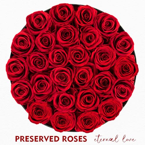 Impouo Forever Flowers, 27 Roses in A Box, Real Preserved Roses, Birthday Gift for Women, Mother's Day, Anniversary, Red Rose (Red, 27 Rose) - color: Red, size: 27 Rose