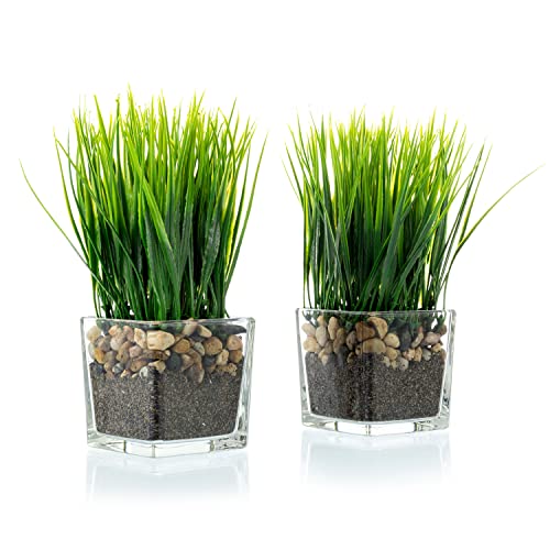 MyGift Artificial Grass Plants in Modern Square Clear Glass Pots with Faux Pebbles and Soil, Decorative Potted Greenery Plant in Tabletop Planter, Set of 2 - color: Clear (Square)