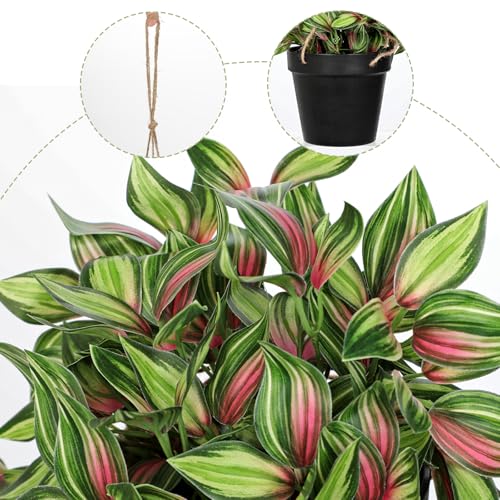 Briful Artificial Hanging Plants in Black Pot 17.7" Lifelike Trailing Faux Watermelon Peperomia Silk Plant with Cascading Greenery Fake Hanging Greenery for Indoor & Outdoor Home Garden Décor - color: Red Green