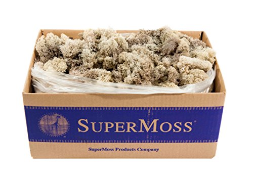 SuperMoss (21742 Reindeer Moss Preserved, Natural, 3lbs - color: Natural, size: Appx. 3 lb Bulk Case