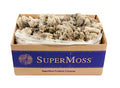 SuperMoss (21742 Reindeer Moss Preserved, Natural, 3lbs - color: Natural, size: Appx. 3 lb Bulk Case