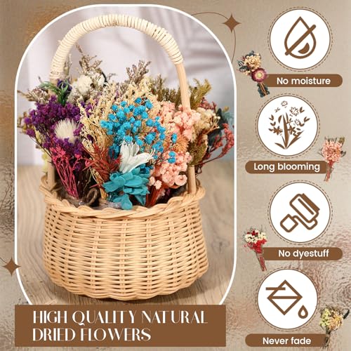Layhit 12 Pcs Boho Dried Flower Bouquet Mini Wedding Handmade Dry Flowers Decor for Vase Crafts DIY Photo Boutonniere for Men Floral Plant for Bridesmaid Gift Birthday Decor(Colorful) - style: Colorful
