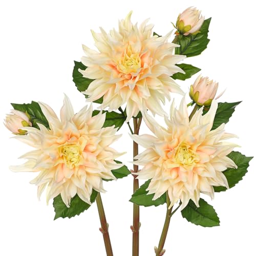 Artificial Dahlia Flowers – Set of 3 | 27.9" Tall Real-Touch Silk Dahlia Stems with Large 6.1" Blooms | Lifelike Ivory Faux Flowers for Home Decor, Wedding, Centerpieces & Floral Arrangements - color: Ivory