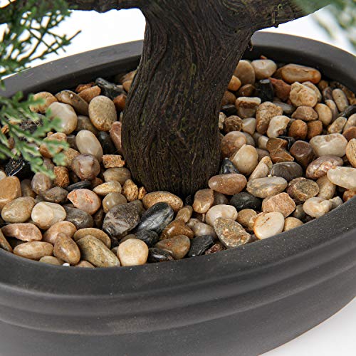Artificial Bonsai Tree Juniper Faux Plants Indoor Small Fake Plants Decor with Black Plastic Pots for Home Table Office Desk Bathroom Shelf Bedroom Living Room Farmhouse Decorations - style: Large-Ficus