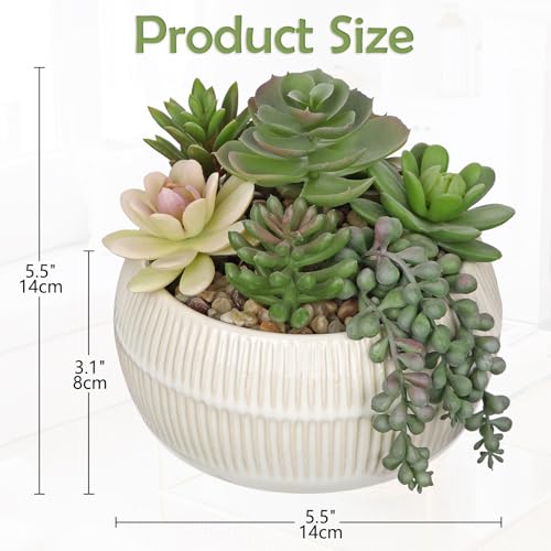 DILATATA Artificial Succulent Plants in Pot 5.5 Inch Fake Succulents Arrangement Potted Plant in White Ceramic Planter Bowl for Home Office Desk Shelf Living Room Bedroom Bathroom Decor - color: White Ceramic#style 4