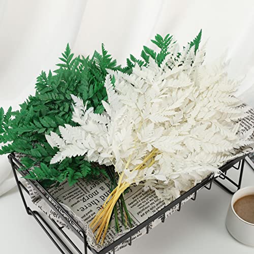 Fern Preserved Black Ferns, 10 PCS Dried Boston Fern with Stems, 15'' Real Leaves for Dried Flowers Arrangements Wedding Garland Bouquets Home Party Centerpiece Table Decorations Vase Filler