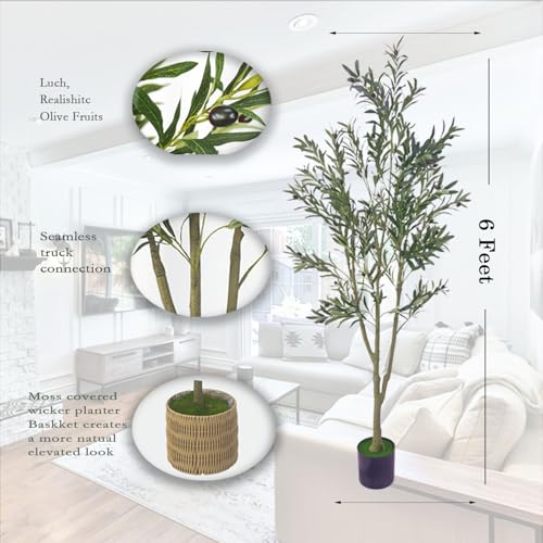 6FT Artificial Olive Tree – Lifelike Faux Olive Plant with Realistic Olive Fruits in Nursery Pot for Indoor Living Room Outdoor and Office Decor with Moss