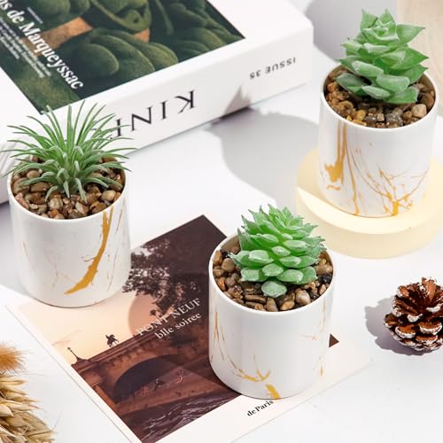 Der Rose Set of 4 Succulents Plants Artificial Mini Fake Succulents Plants for Office Desk Accessories for Women Home Decor(Green) - color: 4-green