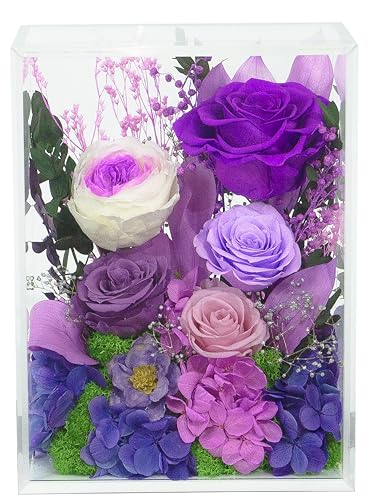 Valley of Rain & Forest Long-Lasting Real Flowers, Handcrafted Preserved Rose Bush For you to Send Love for All Occasions, Floral Arrangement for Indoor Decoration (Dark Purple Rose) - color: Dark Purple Rose