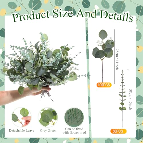 Tigeen 150 Pcs Artificial Eucalyptus Stems, 2 Styles Faux Greenery Leaves with Silver Dollar and Small Leaf Sprays for Wedding Bouquet DIY Floral Arrangements, Centerpieces, Home Decor (Green)