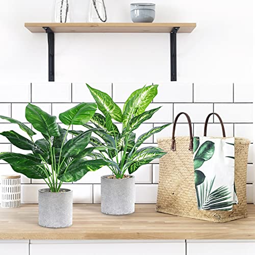 Der Rose Bundle of 2pcs 16" Fake Plants Artificial Plants and Set of 2 Fake Succulent Plants for Farmhouse Bathroom Kitchen Office Home Decor Indoor