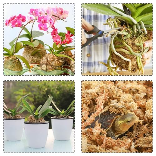 Halatool 10OZ Orchid Moss Sphagnum for repotting, 14QT Dried Sphagnum Moss for Plants Indoor, Maintain Air Humidity and Improve Soil Acidity, Natural Media for Orchid Plant Growth - size: 14 qt (0.6 lbs)