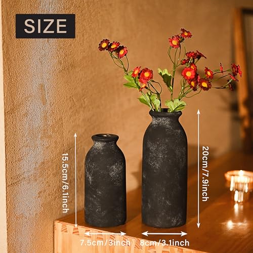 VICTOR & TERESA Black Ceramic Vases Home Decor, Flower Vase Set of 2, Farmhouse Vase for Flowers, Rustic Decorative Vases for Pampas Grass, Table, Living Room, Shelf, Centerpieces, 8 inch - color: Black