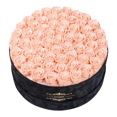 Gifts for Women – NATROSES 60 Preserved Roses in Luxury Black Velvet Box, Preserved Flowers for Delivery Gift for Her, Elegant Rose for Birthday, Mother’s Day, Christmas (Champagne Pink) - color: Champagne Pink, size: 60 Roses