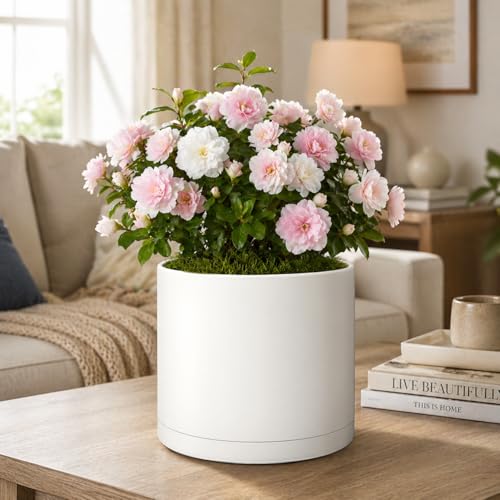 Giraffe Creation 10 Inch Cylinder Plant Pot, Modern Round Planter with Drainage Holes and Saucer, Lightweight Plastic Flower Pot for Indoor Outdoor Plants, White - color: White 10 Inch