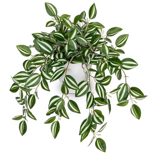 Briful Fake Plant Indoor, 17.7" Green White Faux Trailing Plant in White Plastic Pot Fake Cascading Greenery Plant for Shelf Bathroom Kitchen Office Desk Cabinet Tabletop Home Decor - color: White Stripe Green