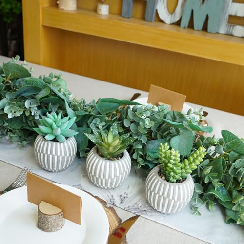Winlyn Set of 3 Artificial Succulents Plants in Mini Gray and White Geometric Cement Pots Faux Potted Plants Aloe Pachyphytum Succulent Donkey Tail Small Plant for Home Office Table Shelf - color: Gray Pots