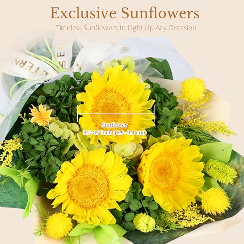 Forever Flowers for Delivery - Preserved Sunflower Bouquet with Gift Box & Greeting Card, Real Eternal Flowers, Gifts for Women, Mom, Mother's Day, Birthday, Anniversary, Graduation - color: Green
