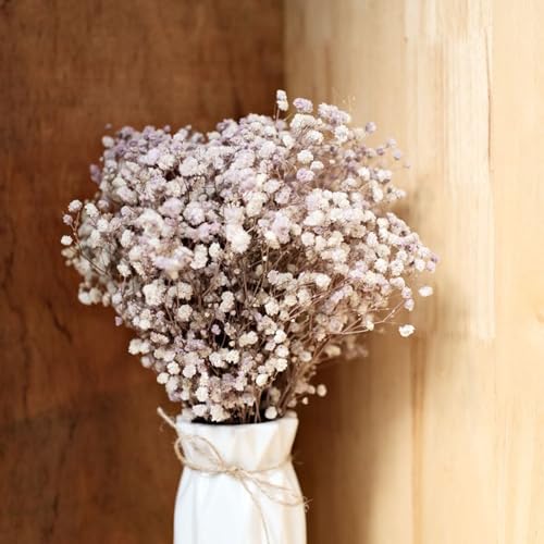120 Pcs Mini Dried Baby Breath Flowers Gypsophila Ivory Flowers Dried Flowers for Vase Wedding Home Office Party Garden Card Making Decor Wreath Floral Craft DIY Art (White) - color: White