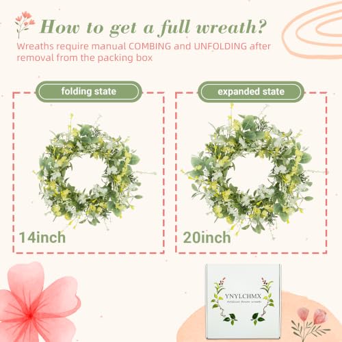 YNYLCHMX 20" Spring Summer Wreaths for Front Door, Artificial Floral Wreath with Yellow White Daisy & Green Eucalyptus Leaves, Green Foliage Wreath for Wall Window Farmhouse Party Holiday Home Decor - color: Daisy