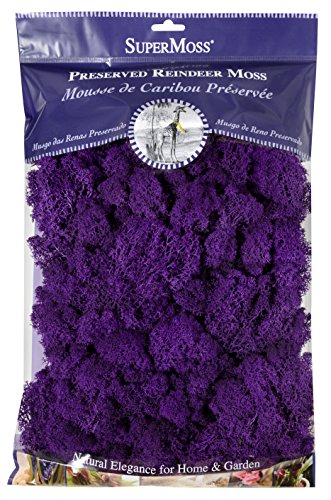 SuperMoss (25141) Reindeer Moss Preserved, Purple, 8oz (200 cubic inch) - color: Purple, size: 200 in3 Bag (Appx. 8oz)