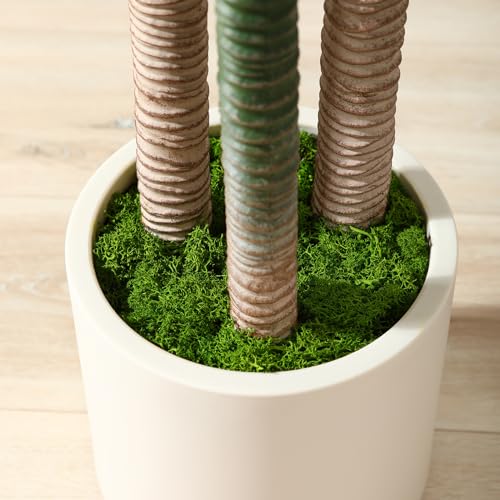 Artificial Dracaena Tree 5ft, Tall Fake Dracaena Plants with White Planter, Faux Dragon Tree Indoor Floor Plant for Home Decor Office Living Room Porch Housewarming, 1Pcs - size: 5ft