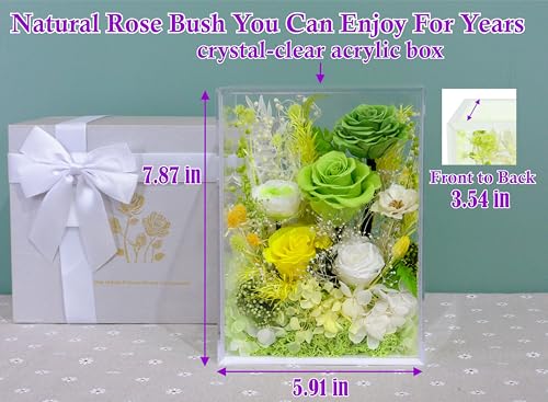 Valley of Rain & Forest Long-Lasting Real Flowers With Delivery | Handcrafted Preserved Rose Bush For You to Send Love for All Occasions, Indoor Floral Decor (Green Rose Spring-themed) - color: Green Rose