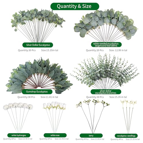 130 Pcs Mixed Eucalyptus Leaves Stems 8 Kinds Artificial Bulk Fake Silver Dollar Eucalyptus Bundle Faux Plants Greenery for DIY Wedding Vase Bouquets Floral Arrangement Engagement Decor （Green） - color: Green - 130 Artificial Green Plants (8 Styles)