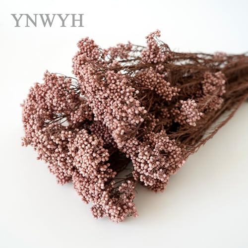 Natural Preserved Millet Flowers Dried Bouquet Flowers and Plants Arrangements for Home and Wedding Decoration (Deep Milk Tea Color) - color: Deep Milk Tea Color