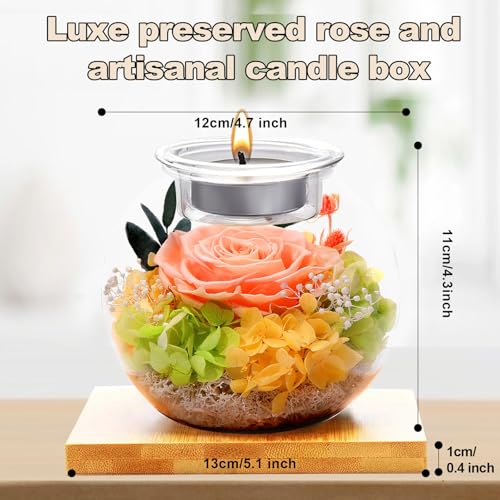 Mothers Day Flowers Roses Gift for Her, Flowers for Delivery, Preserved Flower in Glass Dome with Scented Candle Gift for Women Wife Girlfriend on Christmas Valentines Day Birthday (Champagne) - color: Champagne