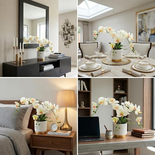 Artificial Orchid Plant with Pot, Realistic Faux Phalaenopsis Orchid with Moss, Lightweight Desktop Decor for Home and Office (White Two Branches) - color: White Two Branches